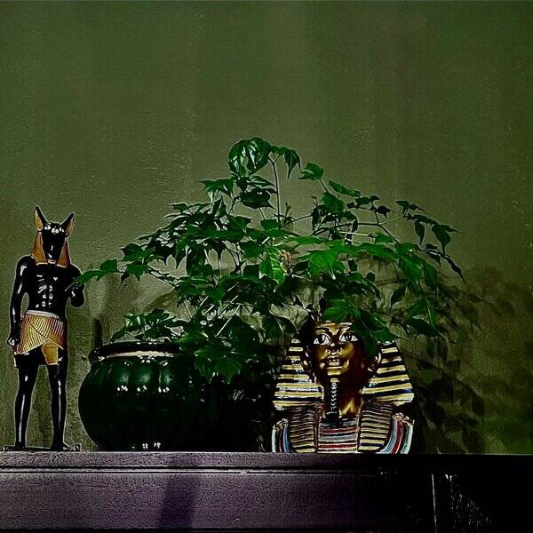 Hus - Hus på viksletta i Halden Hus - Hus på viksletta i Halden