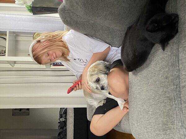 Hund - Allergivnliga Blixten