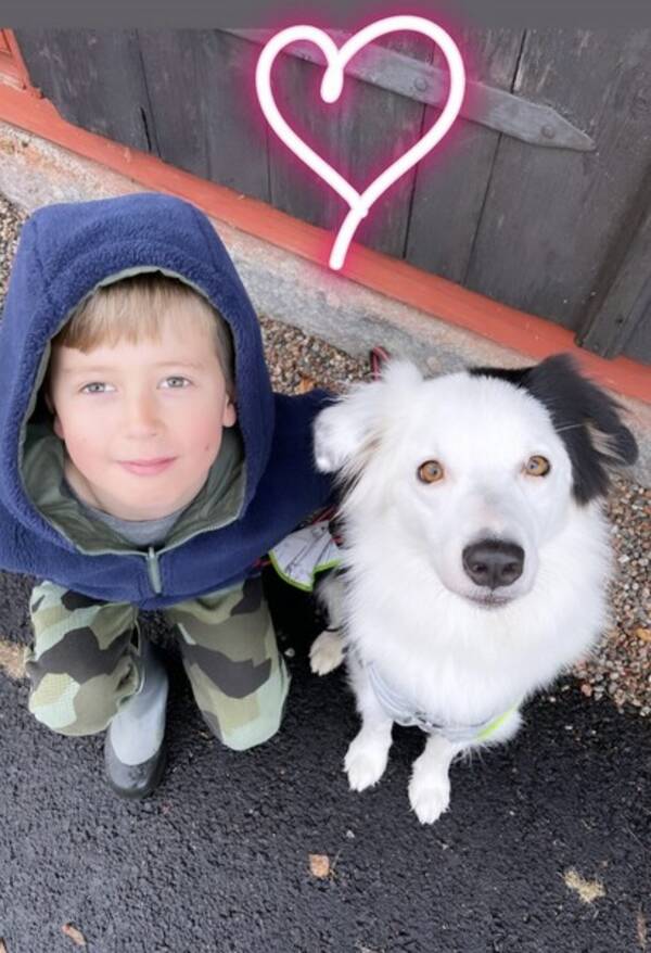 Hund - Aussien Hedda