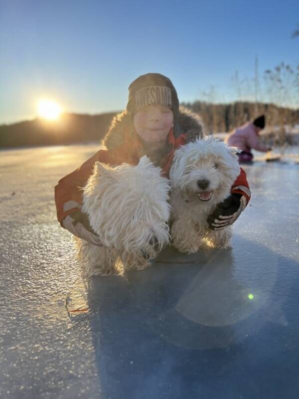 Hund
