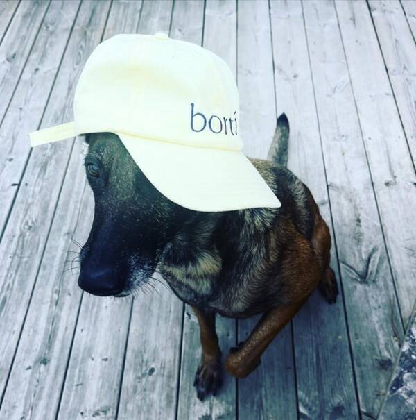 Hund - Pink (Belgisk Malanois) Hund - Pink (Belgisk Malanois)