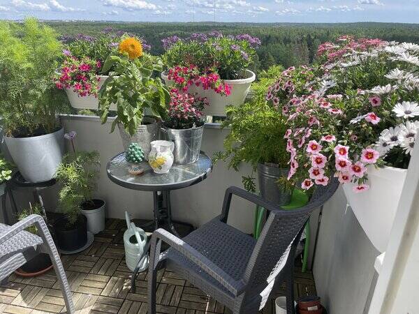 Lägenhet - Fler bilder Lägenhet - Fler bilder