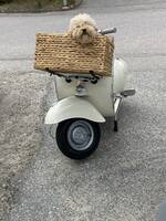 Vespa 125cc 1963 Vespa 125cc 1963