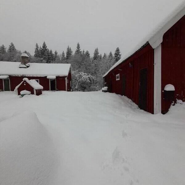 Sommarstuga - Sommar/vinter stuga  nordstra Skne 