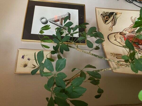 Lägenhet - Lägenhet i Saltsjöbaden, Nacka