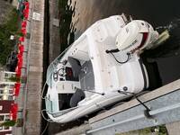 Sting 570DC  Sting 570DC