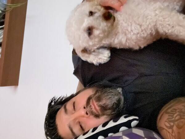 Hund