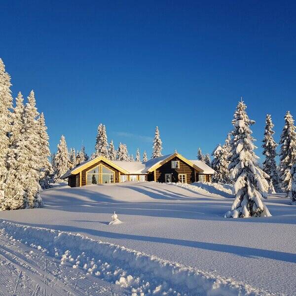 Annet - Stor  tømmerhytte på Sjusjøen Annet - Stor  tømmerhytte på Sjusjøen