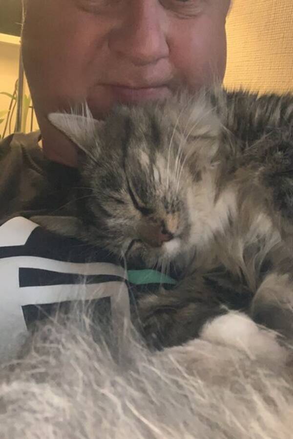 Katt - Kattemor Katt - Kattemor