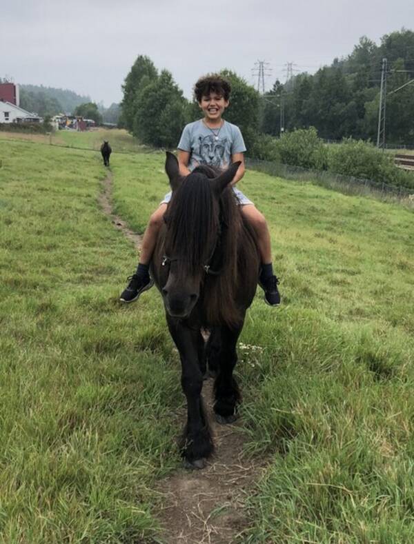 Annet - Hesten Lukas