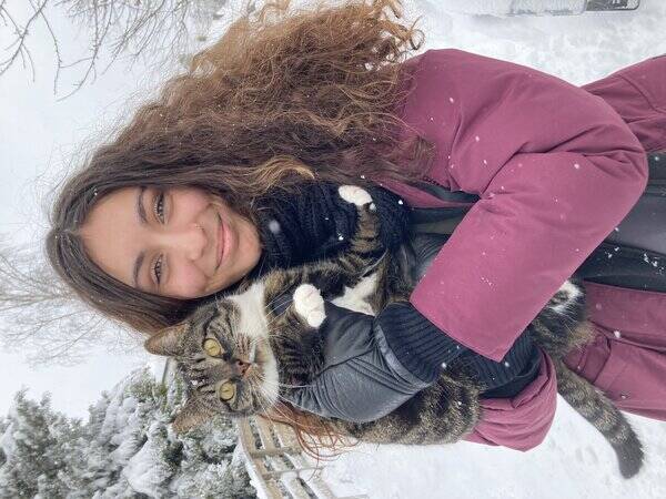 Katt - Kanin