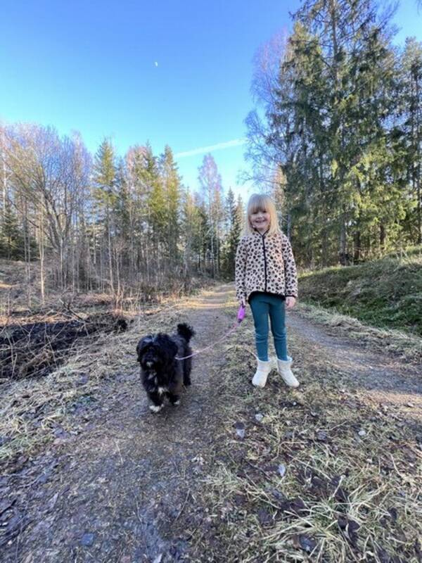 Hund - Molly Polly Bus