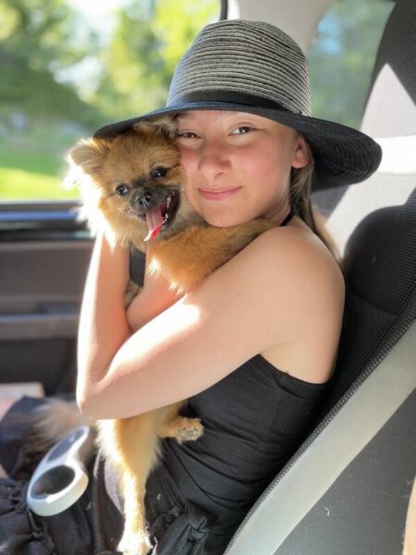 Hund - Pomchi Kylie  Hund - Pomchi Kylie