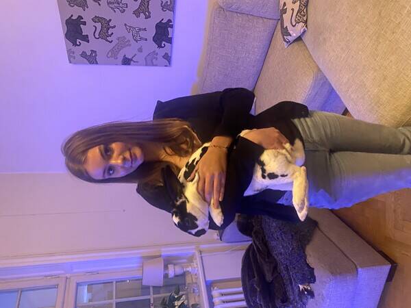 Övrigt - Kaninen Spike Övrigt - Kaninen Spike