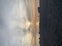 Volkswagen Golf 98 Volkswagen Golf 98