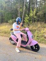 Rosa elmoppe Rosa elmoppe