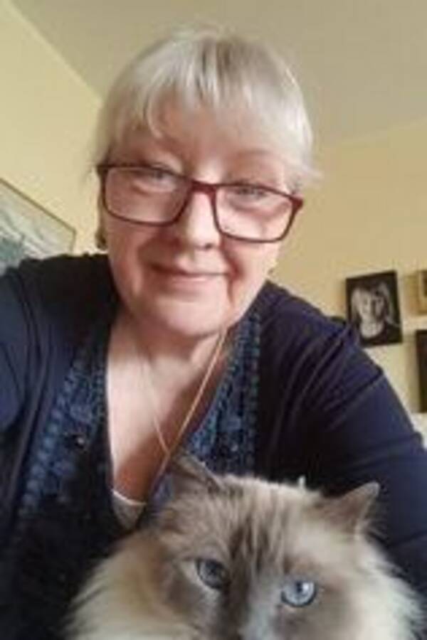 Katt