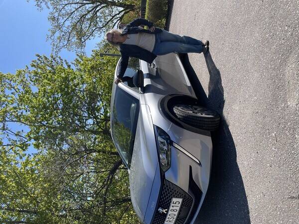 Fordon - Peugot e208 