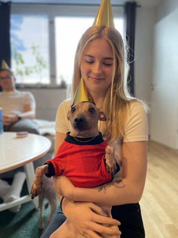 Hund - Naken hund