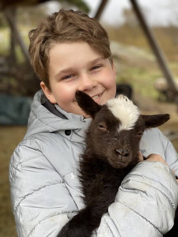 vrigt - Vi har fr och lamm som r vldigt tama 