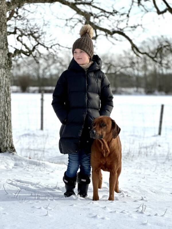 Hund - My lovely dog