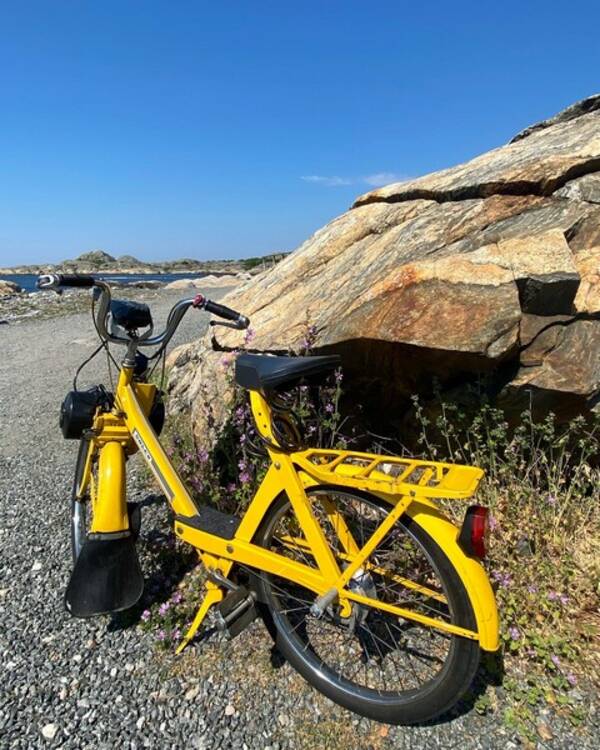 Fordon - Solex Knallert