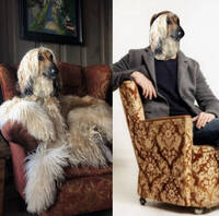 Naughty Nancy - den Afganske mynden 