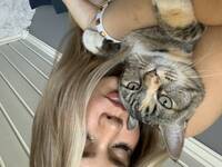 Katten lexi Katten lexi