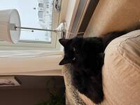 Katten Cash Katten Cash