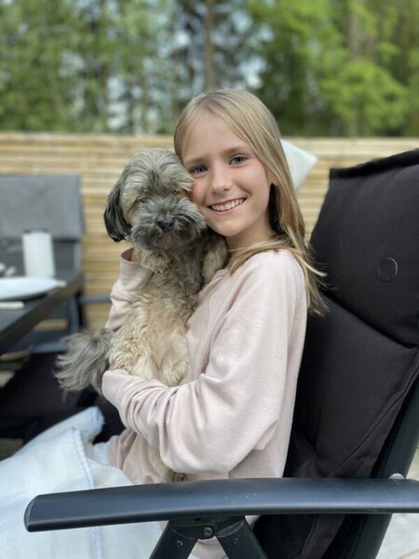 Hund - Havapoo 