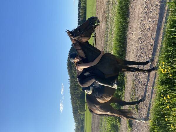 Övrigt - Min häst Catarina