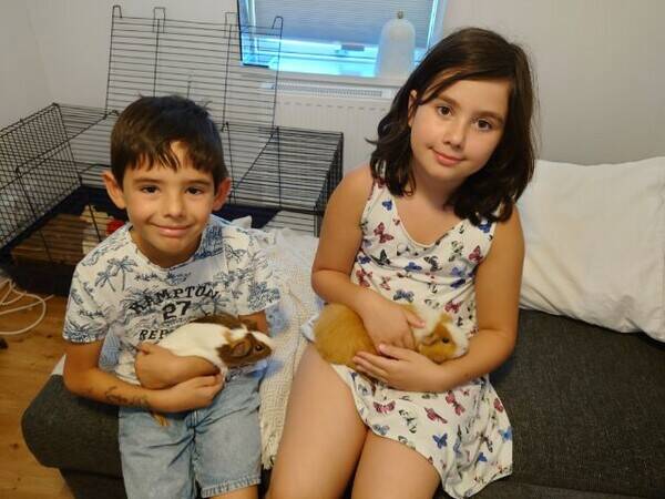 Övrigt - Marsvinen Nora och Sigge 