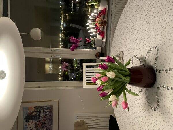 Lägenhet - Lägenheten på dockan i Malmö  Lägenhet - Lägenheten på dockan i Malmö