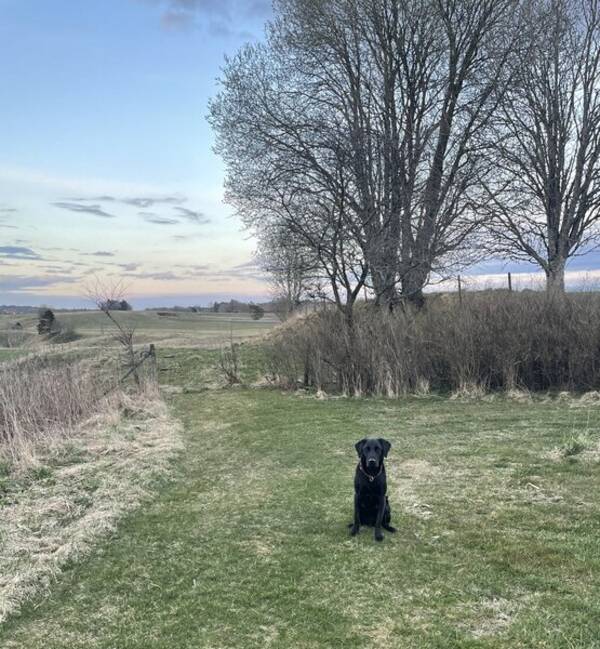 Övrigt - Mark i Sjuntorp (Trollhättan) Övrigt - Mark i Sjuntorp (Trollhättan)