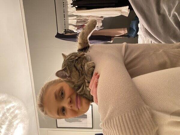 Katt - Katten Elvis 
