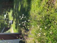 Toyota Yaris Hybrid Toyota Yaris Hybrid