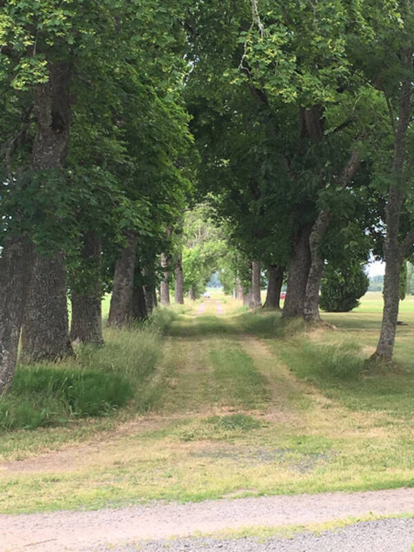 Hus - Torp med grdsbutik