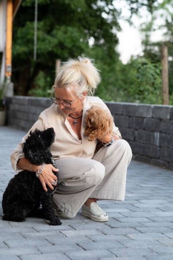 Hund - Maltipoo och cockerpoo 