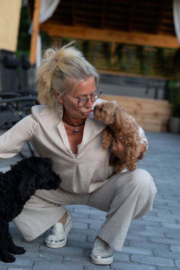 Hund - Maltipoo och cockerpoo 