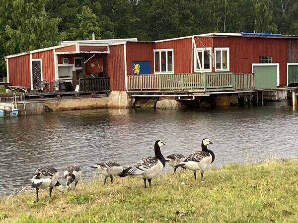 Sommarstuga - Bthus i Vallvik 