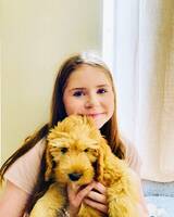 Cobberdogen Mateo Cobberdogen Mateo