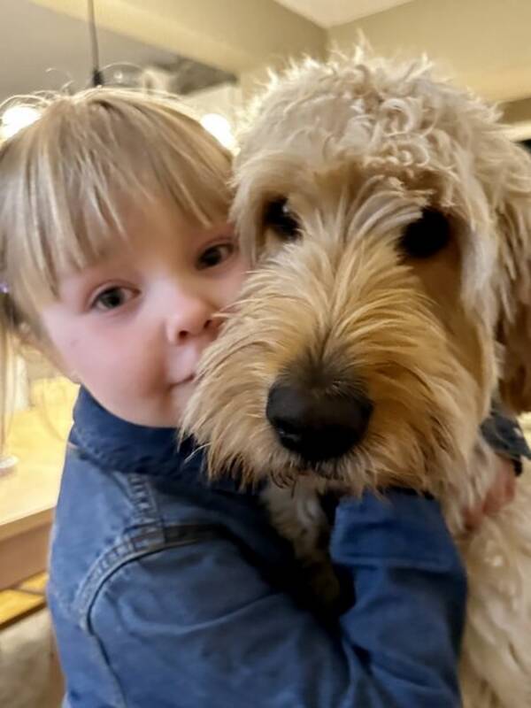 Hund