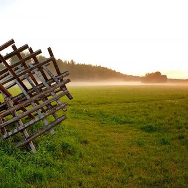 Övrigt - Skulpturpark 50.000 kmv