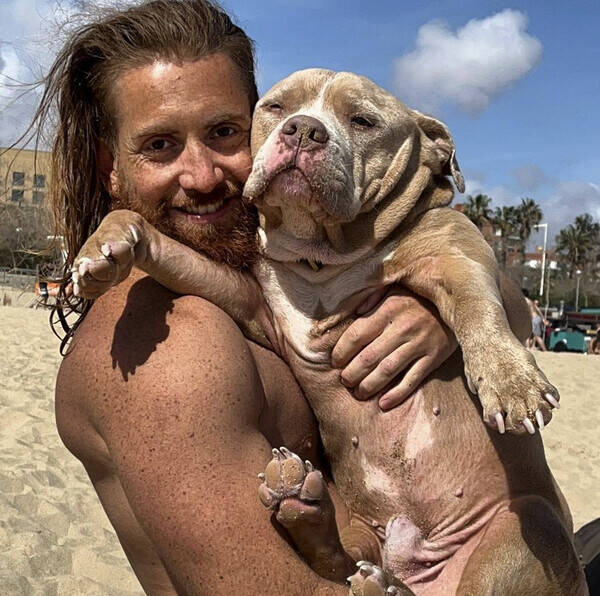 Hund - Tiago