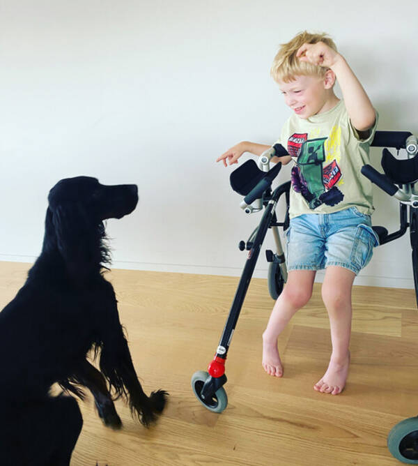 Revisitter - Rullator Revisitter - Rullator