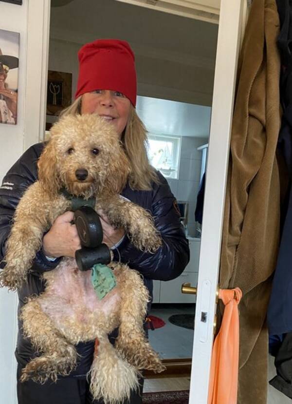 Hund - Baloo 2 år  Hund - Baloo 2 år