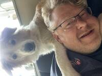 Borter collie Borter collie