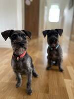 Nanna og Balder Nanna og Balder