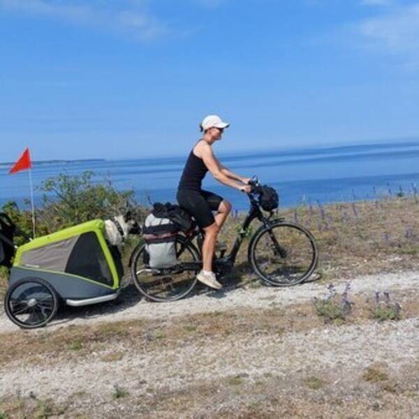 Fordon - Elcykel med krra