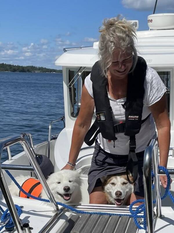 Hund - 3 hundar av spetstyp